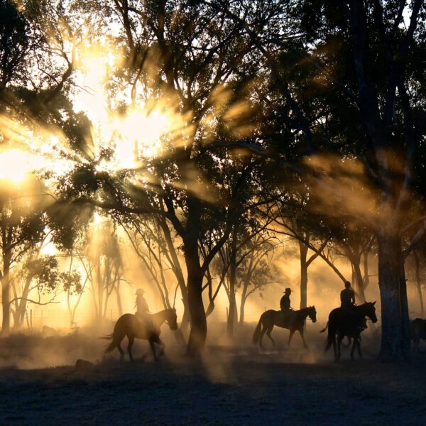 Ouarzazate Horse Riding Tour