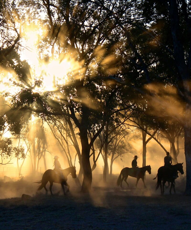Ouarzazate Horse Riding Tour