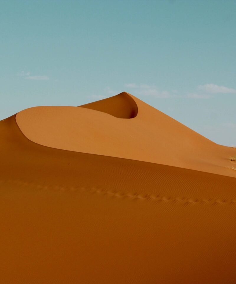 4-DAY DESERT TOUR FROM CASABLANCA TO ZAGORA